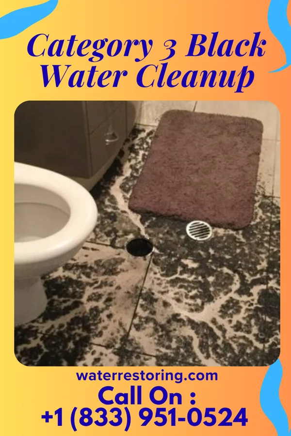 Category 3 Black Water Cleanup in Hedrick, IN