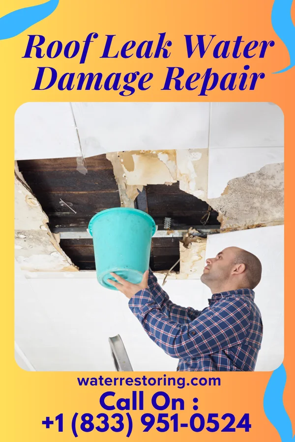 Roof Leak Water Damage Repair in Hedrick, IN